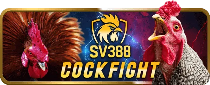 Bước 3 nhận thưởng thành viên mới khi đăng nhập 789bet